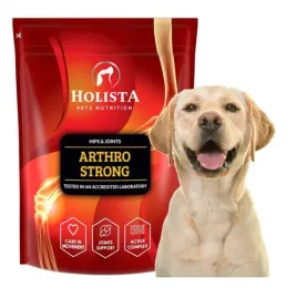 holista-arthro-strong-chondro-600g-dysplazja