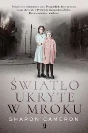 swiatlo-ukryte-w-mroku-sharon-cameron