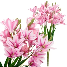 cv34944-3-lilia-bukiet-x3