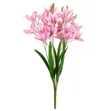 cv34944-3-lilia-bukiet-x3-stan-nowy