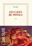 caves-du-potala-dai-sijie