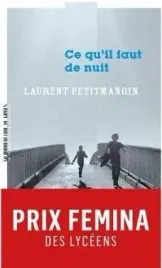 ce-qu-il-faut-de-nuit-laurent-petitmangin