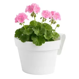 doniczka-balkonowa-z-uchwytem-esprit-30x20cm-bialy