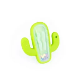 grzechotka-kaktus-giligums