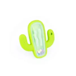 grzechotka-kaktus-giligums