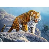 puzzle-180-el-tiger-on-rock-castor-stan-nowy