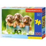 puzzle-100-cute-dachshunds-castor
