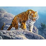 puzzle-180-el-tiger-on-rock-castor-stan-nowy