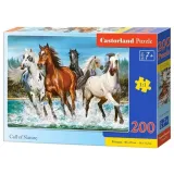 puzzle-200-call-of-nature