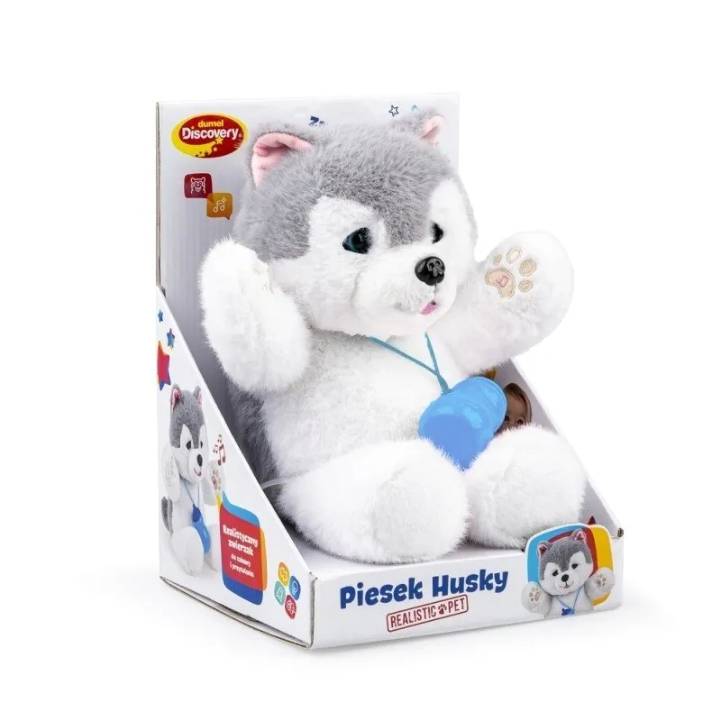 piesek-husky-dumel-discovery