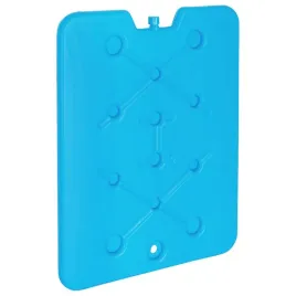 wklad-chlodzacy-do-lodowki-turystycznej-plaski-900-g