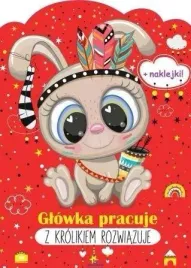 glowka-pracuje-z-krolikiem-rozwiazuje