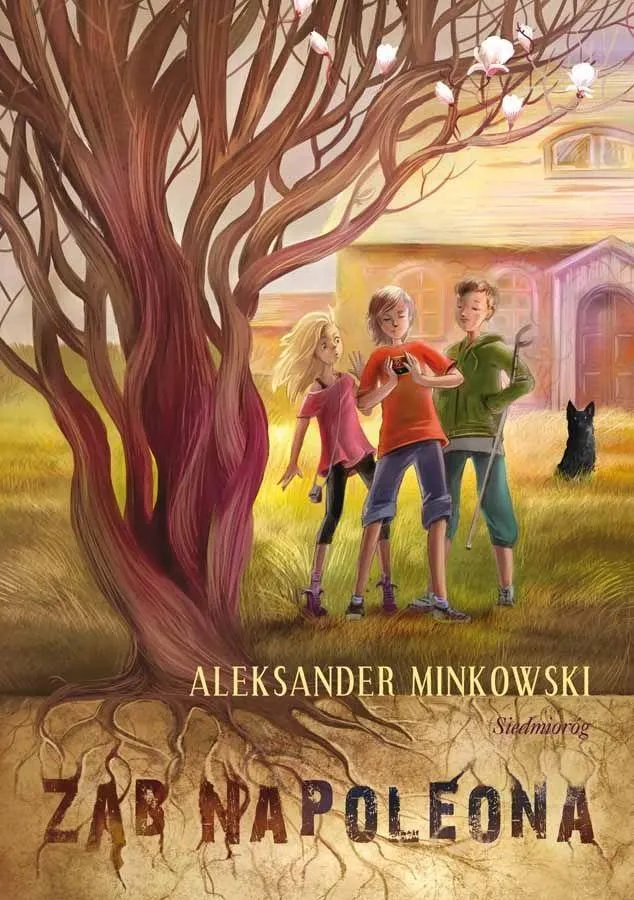 zab-napoleona-aleksander-minkowski