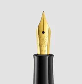 pelikan-stalowka-f-do-piora-wiecznego-p200