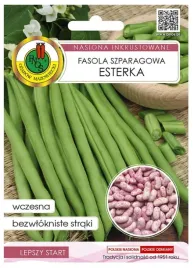 fasola-szparagowa-zielona-esterka-30g-odmiana-wczesna-karlowa