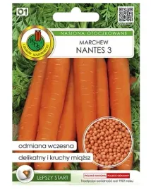 marchew-nantes-3-300-nasion-srednio-wczesna-odmiana