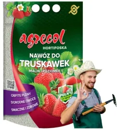 hortifoska-nawoz-do-truskawek-malin-i-poziomek-1kg