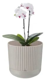 doniczka-dekoracyjna-plastikowa-z-podstawka-bezowa-nostalgia-17x18-cm