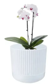 doniczka-dekoracyjna-plastikowa-z-podstawka-biala-nostalgia-17x18-cm