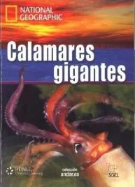 calamares-gigantes-c1-praca-zbiorowa