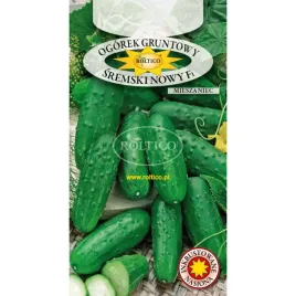 ogorek-sremski-f1-2g-roltico-bardzo-wczesny-gruntowy-kiszenia-i-konserw
