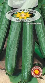 ogorek-marta-f1-1g-szklarniowy-dlugi-bardzo-plenny-inkrustowany