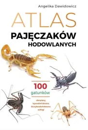 atlas-pajeczakow-hodowlanych-100-gatunkow-angelika-dawidowicz