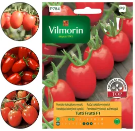 pomidor-koktajlowy-wysoki-czerwony-slodki-plenny-tutti-frutti-f1-nasiona