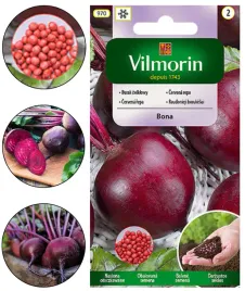 burak-cwiklowy-okragly-bona-odporny-wysoka-jakosc-nasiona-otoczkowane