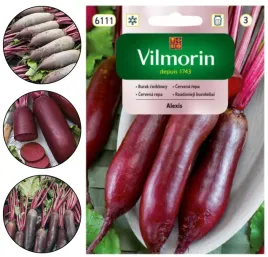 burak-buraki-cwiklowy-podluzny-alexis-soczysty-nasiona-warzyw