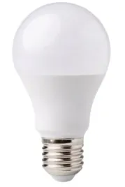 zarowka-led-tradycyjna-ledowa-duzy-gwint-e27-12w100w-biala-zimna-6500k