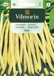 fasola-victor-karlowa-zlotozolte-bezwlokniste-straki-nasiona-003g-odporna