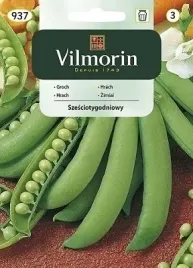 groch-szesciotygodniowy-nasiona-40g-wczesny-vilmorin-odporny