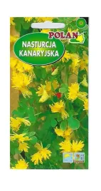 nasturcja-kanaryjska-zolta-1g-polan-pnaca-cytrynowe-kwiaty-obficie-kwitnie