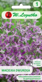 maciejka-dwuroga-rozowolawendowa-5g-nasion-pachnaca-balkon-tarasy