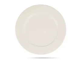 talerz-plytki-27-cm-porcelana-gastronomiczna-banquet-bonna