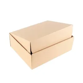 fasonowy-karton-450x300x200mm-wykrojnikowy-fala-b-bra-gabaryt-c-50-sztuk