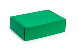 karton-wykrojnikowy-330x250x100-zielony-pudelko-ozdobne-wysylkowe-20-sztuk
