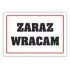 Kolor / wzór produktu #34