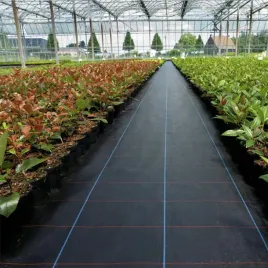 agrowloknina-sciolkujaca-czarna-70g-11x100m