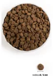 acana-singles-yorkshire-pork-2kg