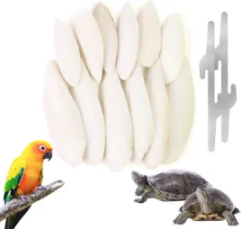 sepia-suszona-dla-ptakow-zolwi-papug-naturalny-wapn-przysmak-gryzak-12-szt