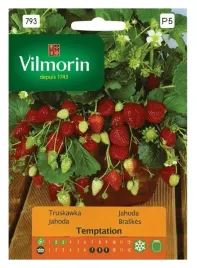 truskawka-zwisajaca-nasiona-vilmorin-owocuje-po-4-miesiacach