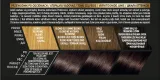 loreal-preference-farba-do-wlosow-3-0-ciemny-braz-kolor-farby-brazy