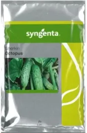ogorek-octopus-500n-st-nasiona-holenderskie