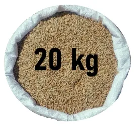 zyto-na-poplon-czyste-od-rolnika-zbior2025-20kg