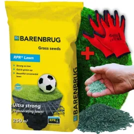 trawa-barenbrug-sportowa-odporna-na-deptanie-otoczkowana-rpr-lawn-5-kg