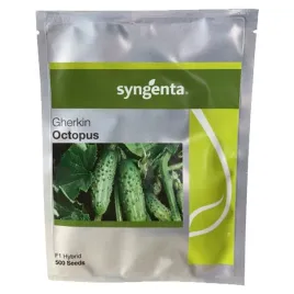 ogorek-octopus-500-szt-swieze-nasiona-holenderskie-zapr-niezawodne-pr2025