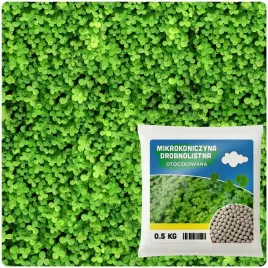 mikrokoniczyna-drobnolistna-koniczyna-trawnik-nasiona-05kg-otoczkowana