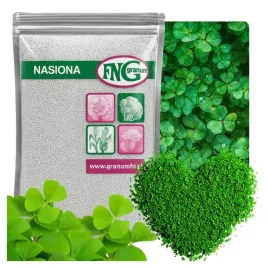 mikrokoniczyna-nasiona-koniczyna-drobnolistna-na-trawnik-500g-otoczkowana